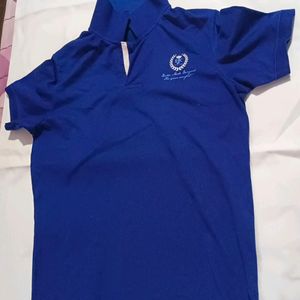 Blue T Shirt For Mens