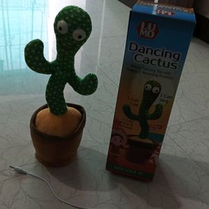 Dancing Cactus Only 500