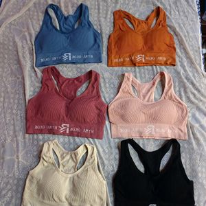 New Padded Sports Bra (Women's)