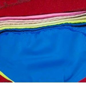 WOMEN'S MULTICOLOR SEAMLESS HIPSTER ICE SILK PANTY