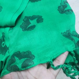 Soft Beautiful Green Long Scarf