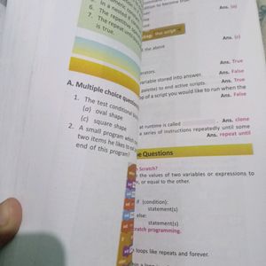 Saraswati Computer Applications Cbse Class 10 Book