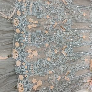 Beautiful Pakistani Net Gown