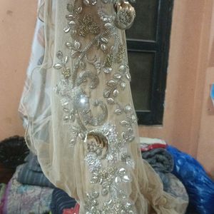 Pretty Lehnga Dress