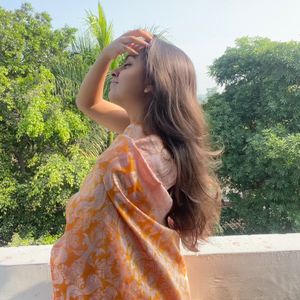 Orange Banarsee Sari