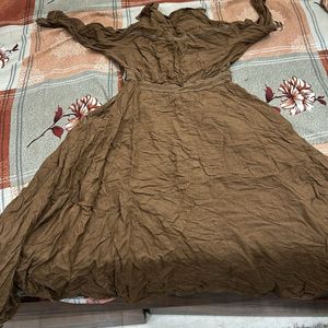 Stylist Brown Dress