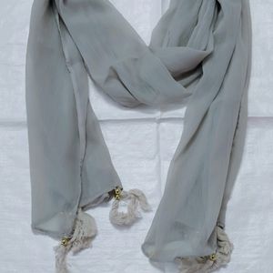 Chiffon 22 72 Scarves With Tasseles Grey Solid