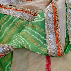 Real Mirror Work Saree With Steel