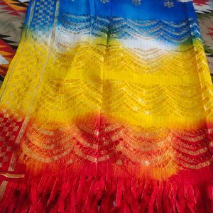 Multi Colour Dupatta