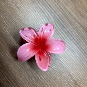 Choose Any 1 For 120 Rs Hawaain Flower Clip