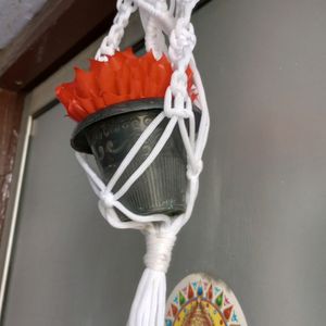 Macrame Plants hanger