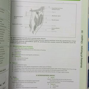 ENT COMPLETE Book (Notebook + MCQ)