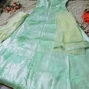 Pista Green Colour Gown