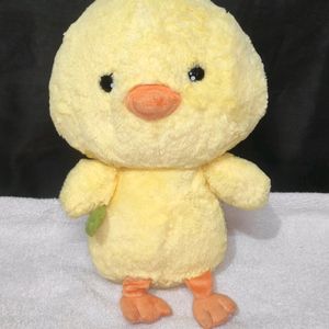 Cute Duck