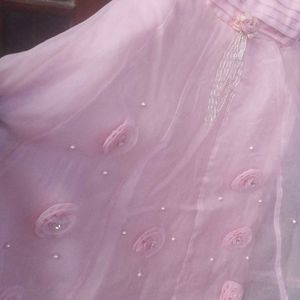 A Beautiful Baby Pink Princess Gown