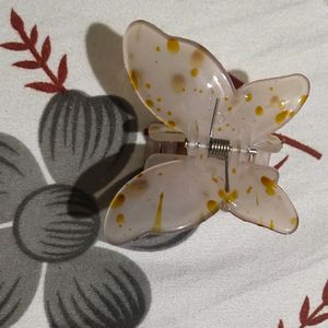Korean Butterfly Ctucher