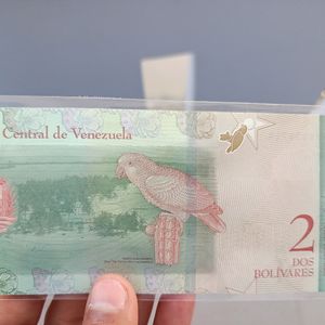 Venezuela Currency Note