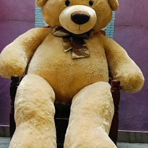 6 Feet Archie's Branded Teddy Bear