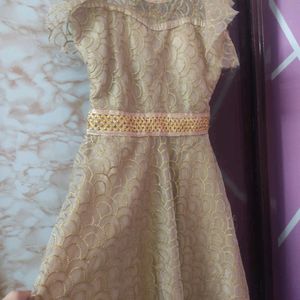 Party Wear Long Gown