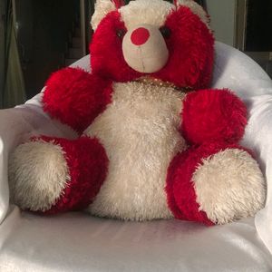 Big Size Teddy