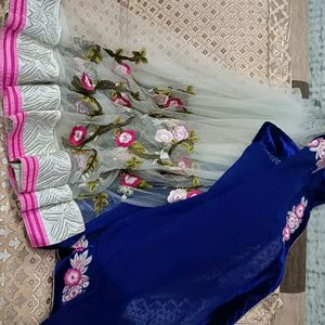 Beautiful Net Saree With Embroidery