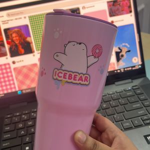 Miniso cute Ice bear Sipper