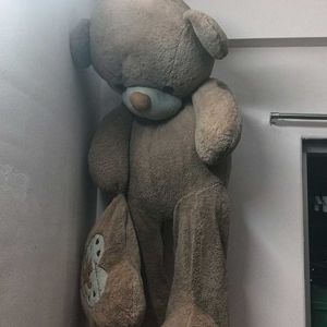 Big Size Teddy Bear