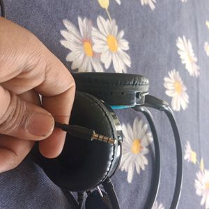 Circle Headphones Used