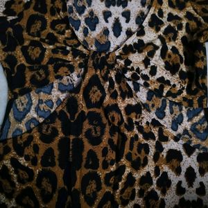 Leopard Mini Dress