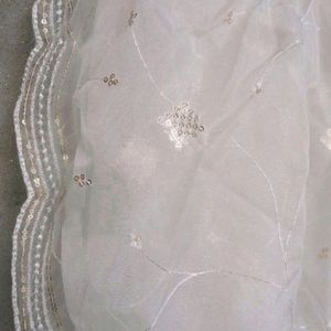 Dupatta Organza