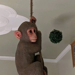 PolyResin Hanging Climbing Monkey with Jute Rope