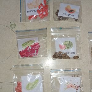 12 Variety Vegetable and Fruit Seeds🌱 Combo