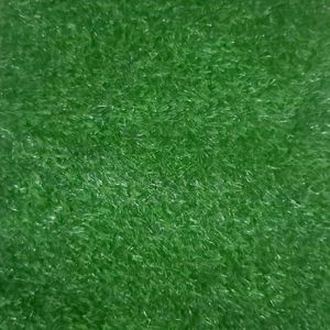 Grass Green 2 Doormat