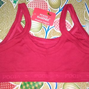 Branded Sports Cotton Bra