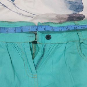 Sea Green Skirt