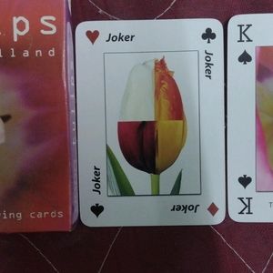 Pack Of 3 Netherlands Playing Cards