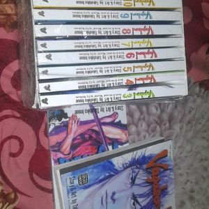 Vagabond Box Set (Manga)/books Vol.1to11