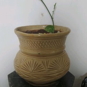 Ceramic Pot