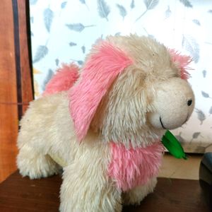 Dog Teddy In Pink Colour