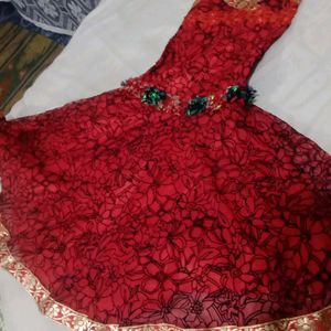 Cotton Net Pure Jari Work Red Colour Printed