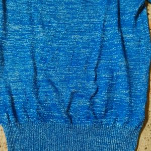 Blue Sweat Shirt