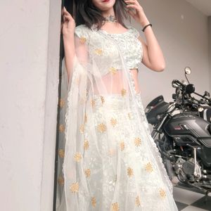 Shinning Lehenga Choli