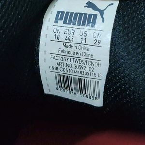 New PUMA Ferrari Cat 5 Ultra Motorsports Shoes