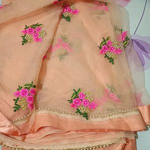 Peach Colour Net Saree