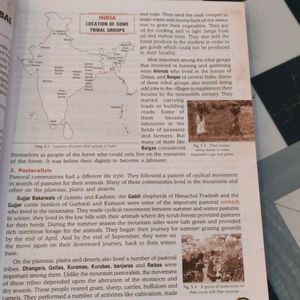 Combo Of Two Social Studies Book For Class 8