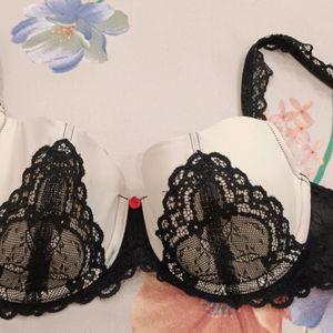 Padded Bra 34C