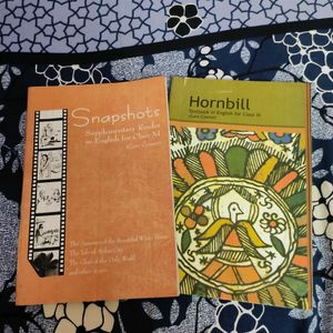 Snapshots & Hornbill - English for Class 11