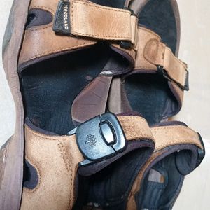 Woodland Brown Men's Sandals