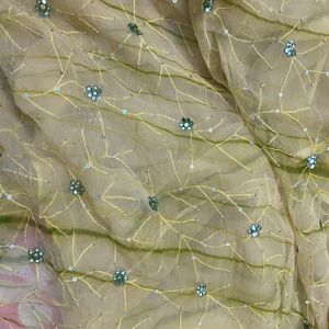 Green Olive Saree With Blouse