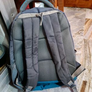 Good Condition Sreeleathers Backpack